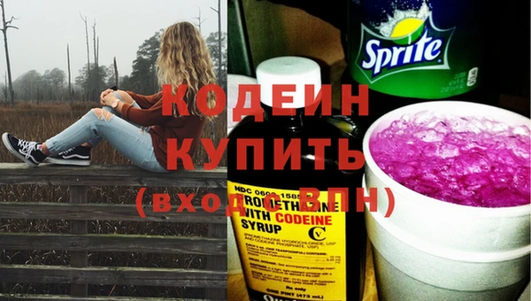 индика Балахна