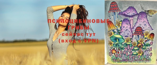 индика Балахна