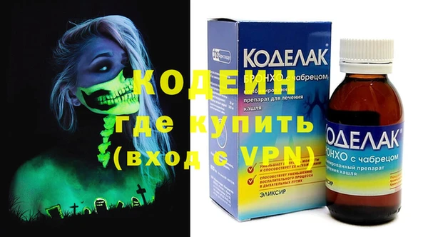 индика Балахна
