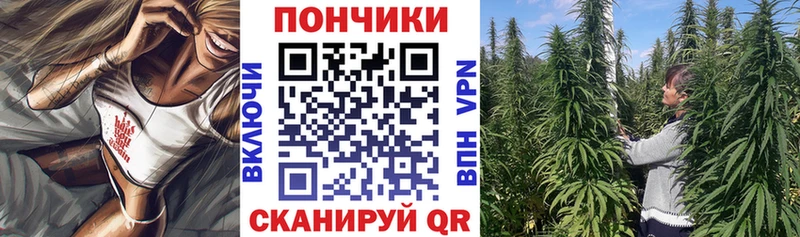 MEGA tor  где продают   Чистополь  Бошки Шишки OG Kush 